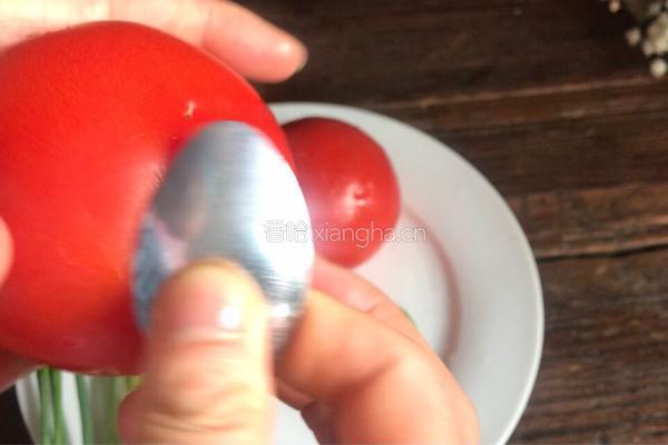 番茄排骨煲的做法图解3