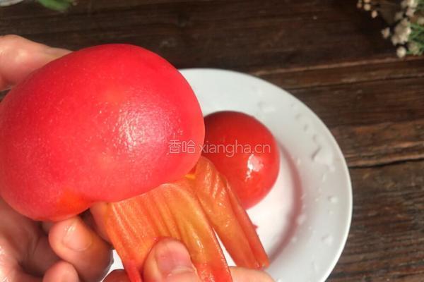 番茄排骨煲的做法图解4