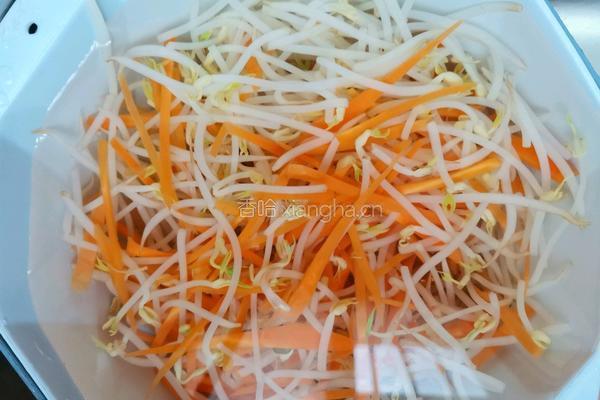 炝拌绿豆芽的做法图解5