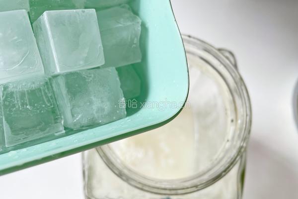 荔枝柠檬茶饮的做法图解9