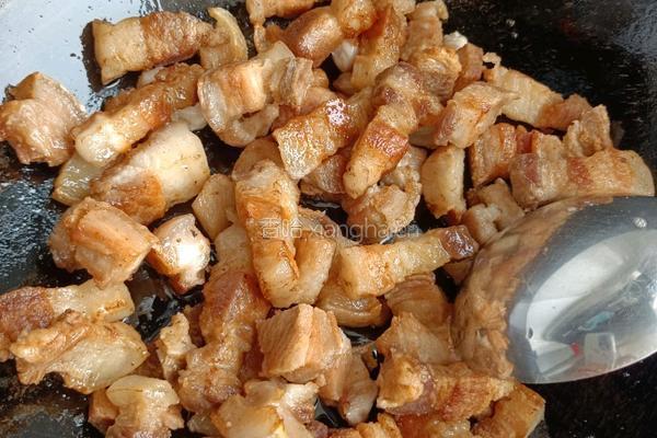 红烧肉的做法图解5