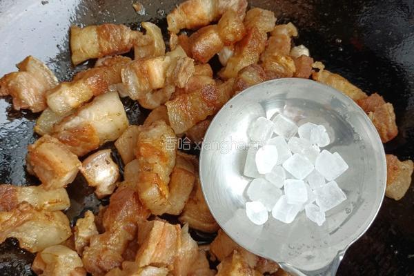 红烧肉的做法图解6