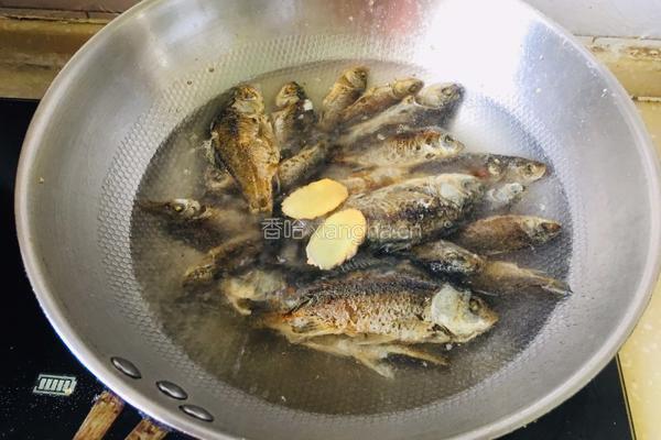 野生鲫鱼汤的做法图解2