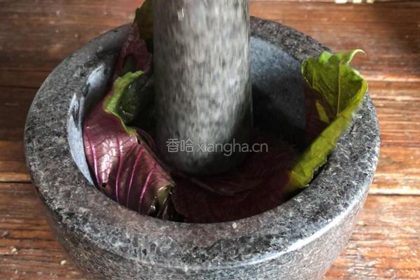 紫苏蒜蓉蒸茄子的做法图解5