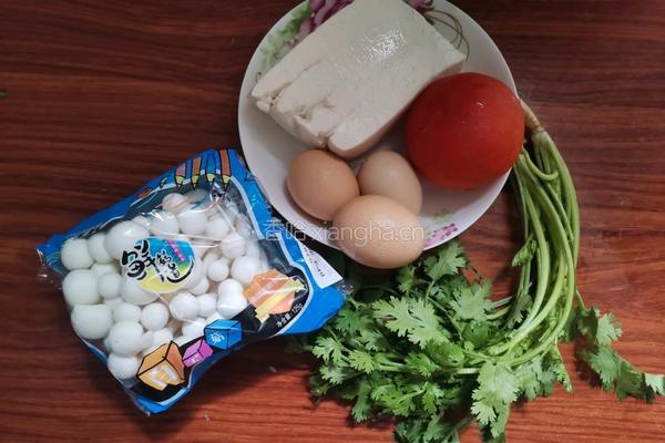 白玉菇豆腐汤的做法图解1