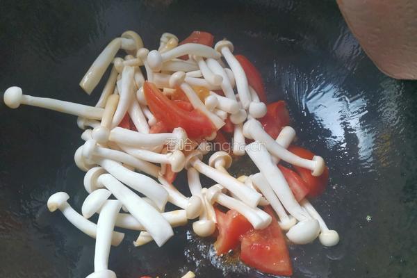 白玉菇豆腐汤的做法图解7
