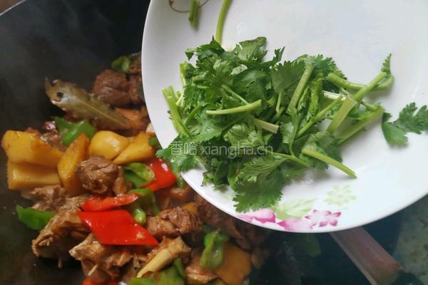 土豆炖鸭腿的做法图解14