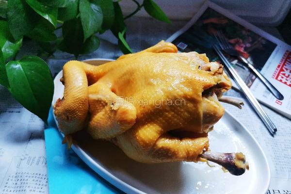 家常咸香鸡的做法图解15