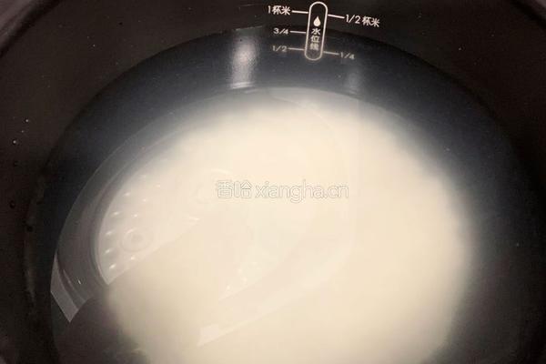 皮蛋瘦肉粥的做法图解5