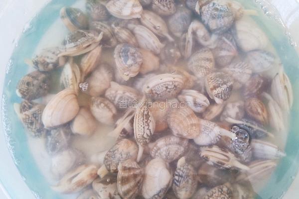蒜蓉粉丝花蛤的做法图解1