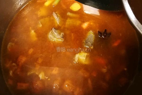 番茄炖牛腩的做法图解11