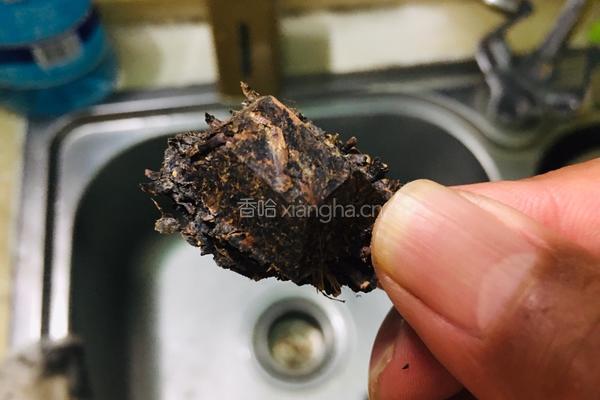 盐茶的做法图解1