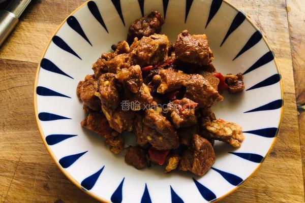 砂锅红烧牛腩炖萝卜的做法图解3