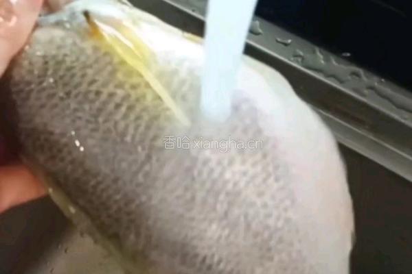 清蒸黄花鱼的做法图解3