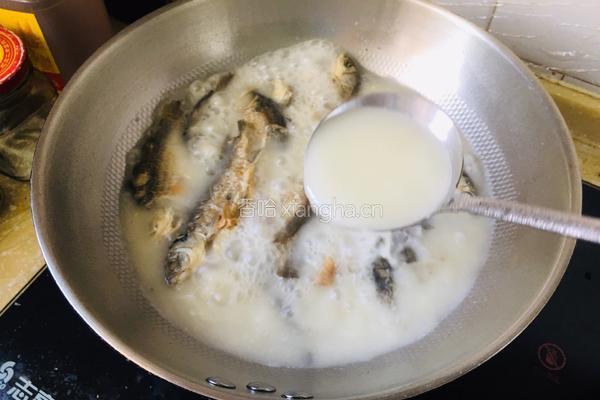 野生鲫鱼汤的做法图解2