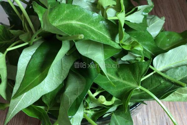 香拌空心菜的做法图解1