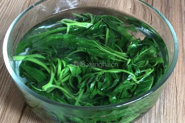 香拌空心菜的做法图解9