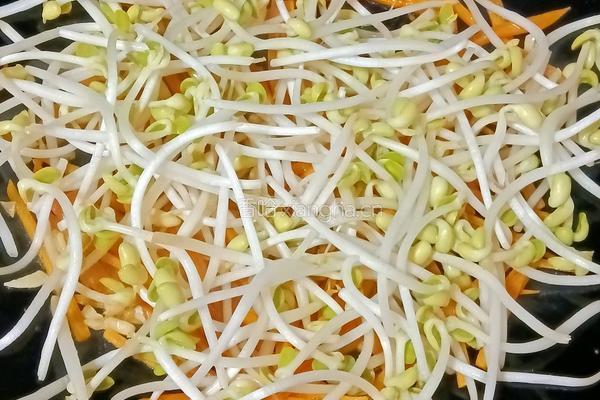 韭菜豆芽炒米粉的做法图解11