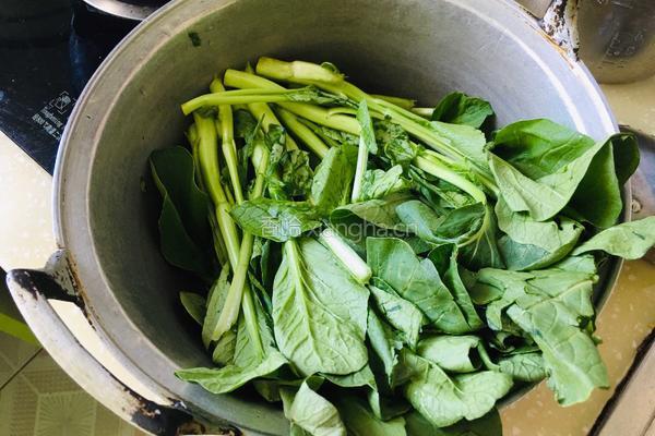 漬炒菜心的做法图解1