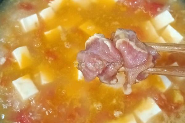 番茄豆腐瘦肉汤的做法图解13