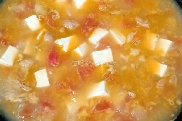 番茄豆腐瘦肉汤的做法图解14