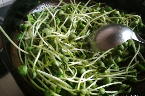 耗油炒豆苗的做法图解6