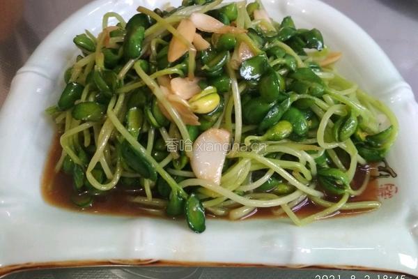 耗油炒豆苗的做法图解9