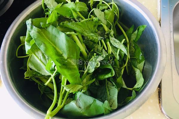 蒜香空心菜的做法图解1