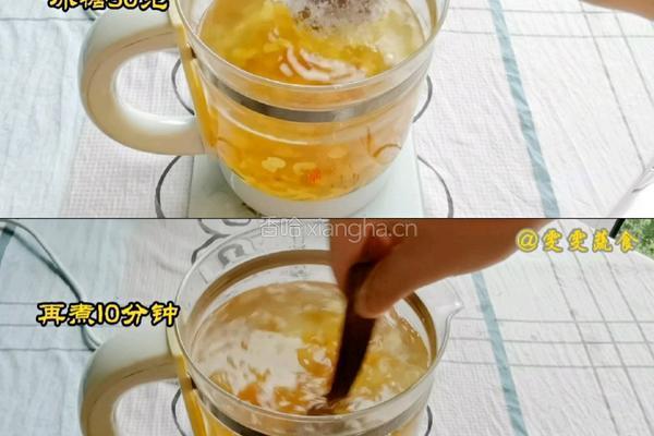 桃胶椰奶冻的做法图解3