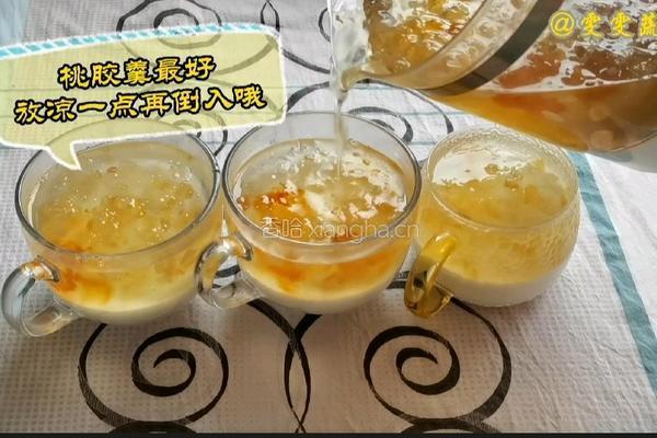 桃胶椰奶冻的做法图解6