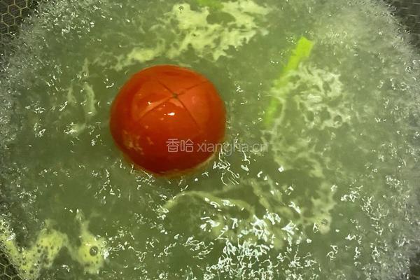 芹菜柿子鸡蛋饼，神仙搭配！的做法图解2