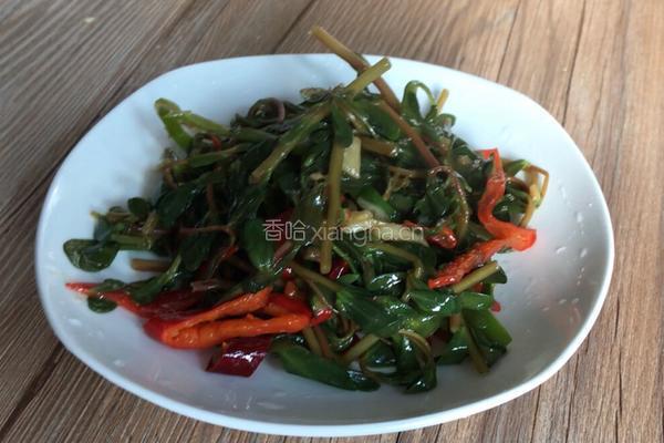 辣炒马齿苋的做法图解10