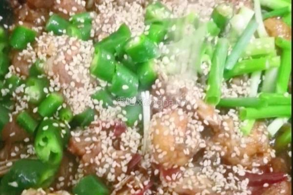 干锅鸡的做法图解11