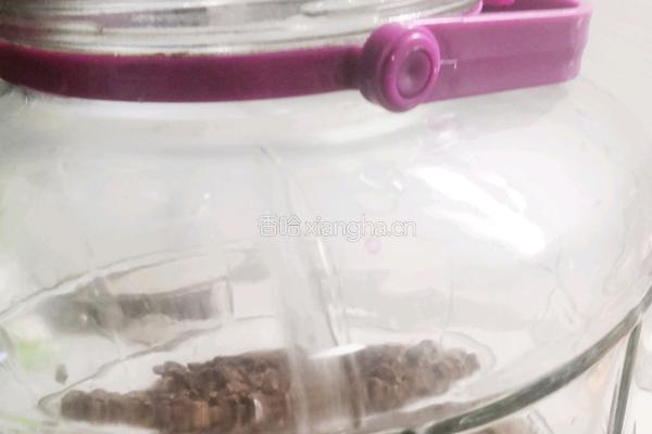 葡萄果醋的做法图解6