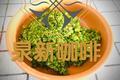 腌韭菜花