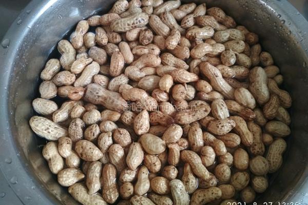 煮鲜花生的做法图解1