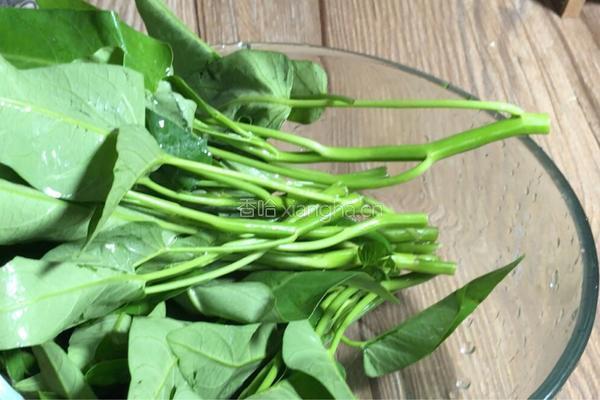 皮蛋煮豆渣的做法图解3