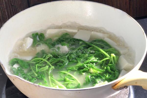 豆腐枸杞萝卜苗汤的做法图解8