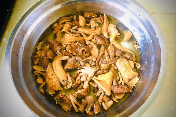 砂锅菌菇炖牛肉的做法图解1