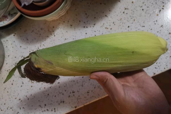 香甜爆汁水果玉米的做法图解1