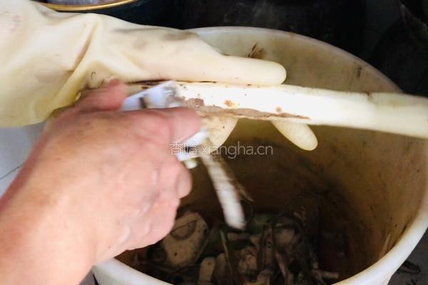 山药银耳汤的做法图解6