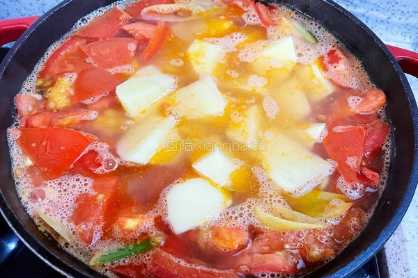 西红柿玉米土豆排骨汤的做法图解10
