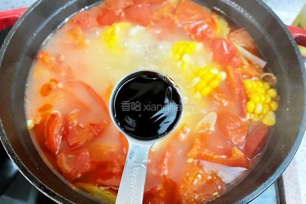 西红柿玉米土豆排骨汤的做法图解12