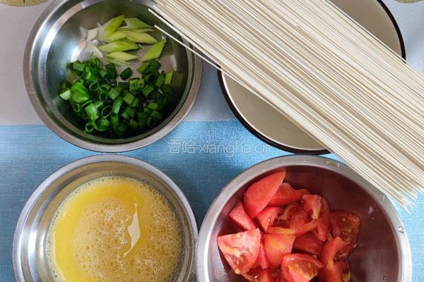主食│西红柿鸡蛋面一款简单的暖胃早餐的做法图解2