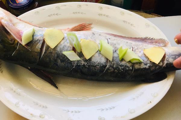 清蒸梭边鱼的做法图解3