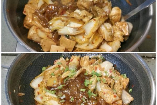 白菜豆腐炖粉条的做法图解10