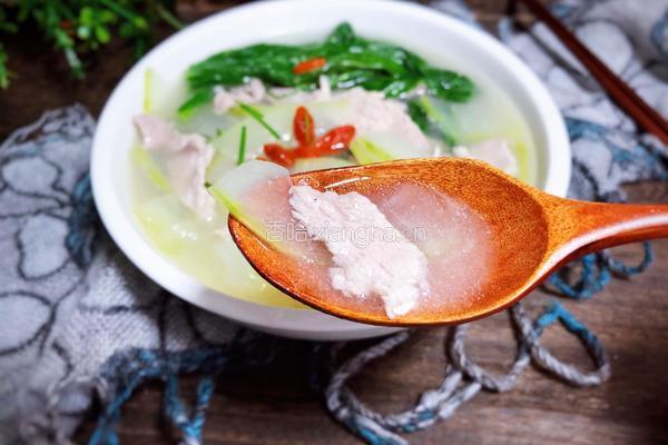 冬瓜肉片汤的做法图解14