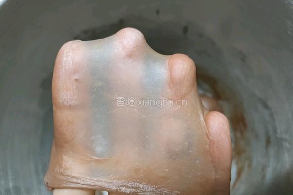 带着香浓诱人可可味吐司的做法图解1