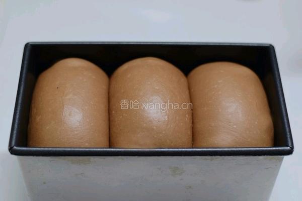 带着香浓诱人可可味吐司的做法图解6