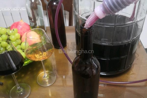 家庭酿造葡萄酒的做法图解9